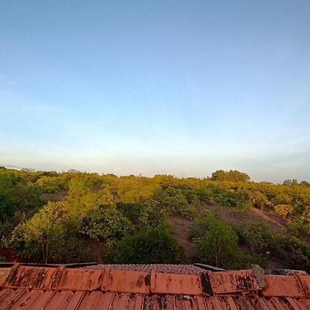 Kamanabillu Homestay, For Jog Falls Travellers Siddapur Exteriör bild