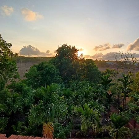 Kamanabillu Homestay, For Jog Falls Travellers Siddapur Exteriör bild
