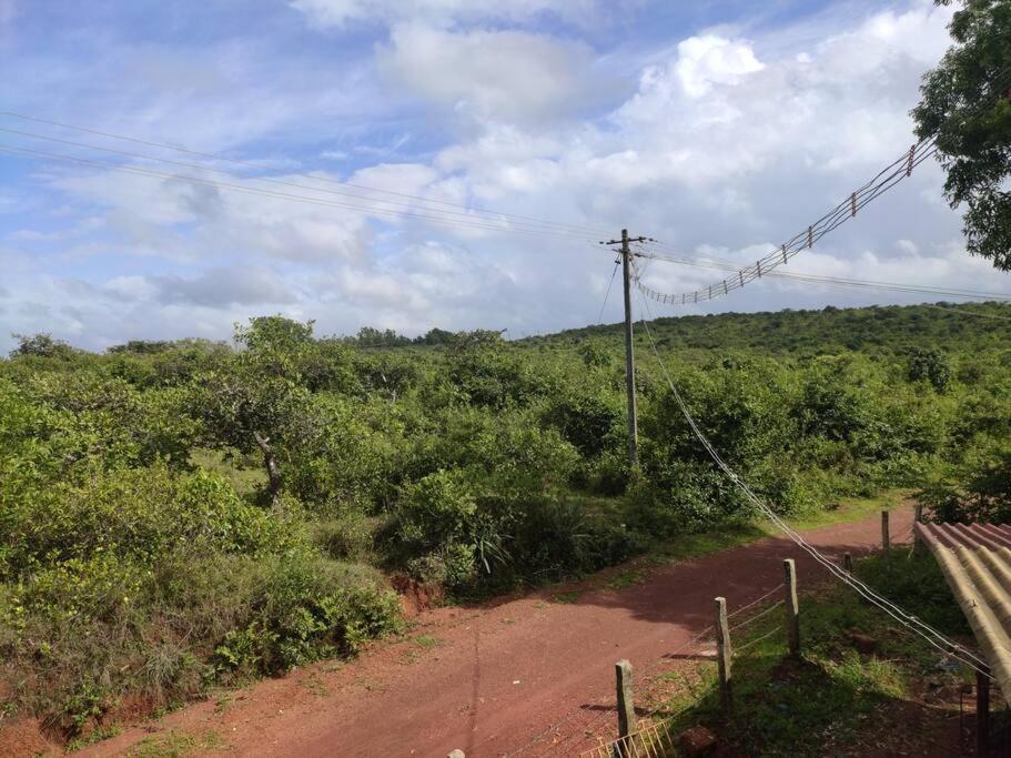 Kamanabillu Homestay, For Jog Falls Travellers Siddapur Exteriör bild