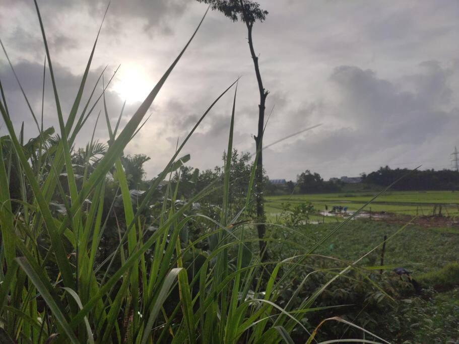 Kamanabillu Homestay, For Jog Falls Travellers Siddapur Exteriör bild