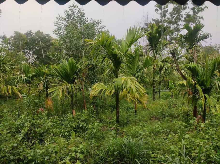 Kamanabillu Homestay, For Jog Falls Travellers Siddapur Exteriör bild